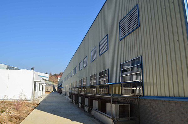 罗田九州通厂房